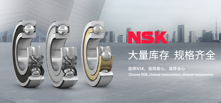 斯孚艾(上海)轴承有限公司